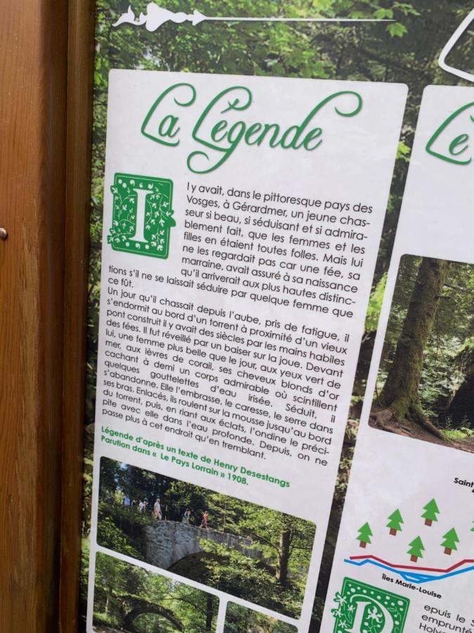 Charmant Appartement A Gérardmer Exteriér fotografie